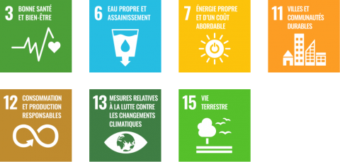 SDG ODD (FR)
